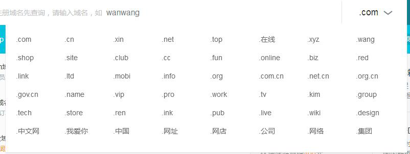網(wǎng)站域名類型